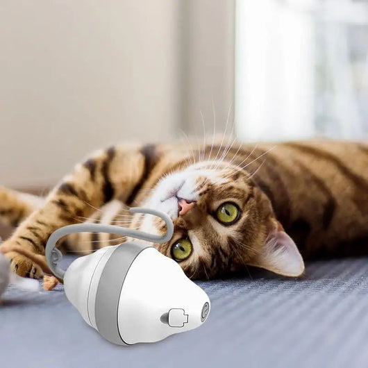 White and grey automatic rolling mouse cat toy with a curved feather teasing stick, showing product dimensions. - Image 9