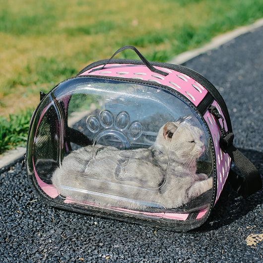 Mochila Escolar Transparente para Mascotas - Diseño Portátil para Gatos - Image 18