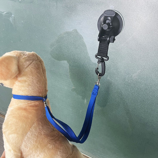 Sistema de Sujeción para Baño de Mascotas con Ventosas Antideslizantes - Image 9