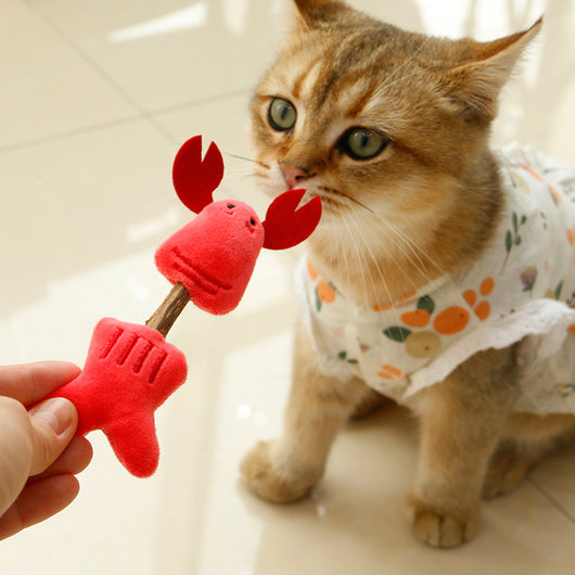 Juguete Dental para Gatos - Palo Molar Limpiador de Dientes - Image 8