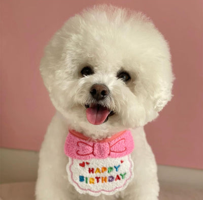 Sombrero Babero Elegante para Perros - Accesorios de Moda Canina - Image 11