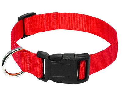 Correa para Perro de Nylon Resistente - Image 6