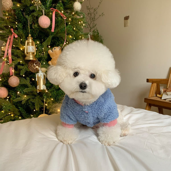 Abrigo para Mascotas Otoño e Invierno