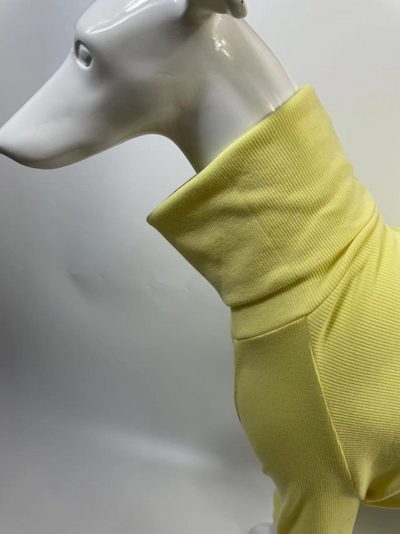 Playera de Cuello Alto para Perro en Algodón Puro con Costuras Suaves - Image 23