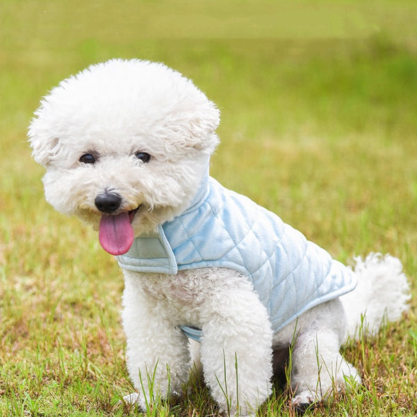 Ropa Térmica para Mascotas - Abrigo Suave Otoño e Invierno
