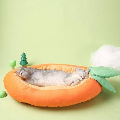 Arena para Gatos Suave y Cómoda con Aroma a Zanahoria - Image 4