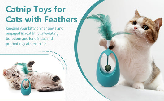 Juguete Interactivo para Gatos con Hierba Gatera y Pelotas Comestibles - Image 17