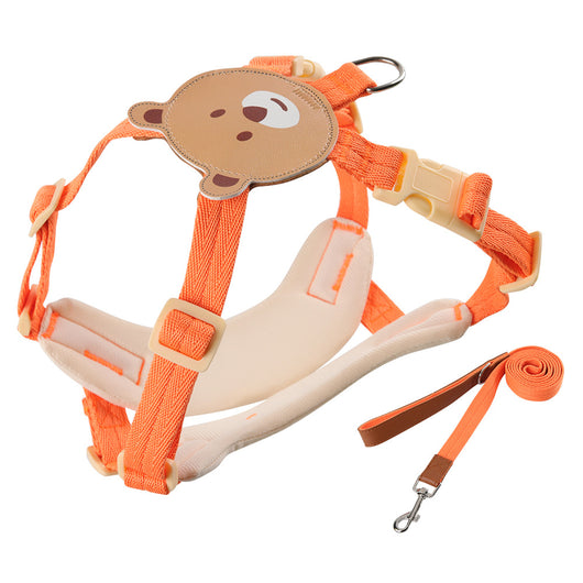 Correa de Paseo para Perros Pequeños con Estilo y Personalidad - Image 5