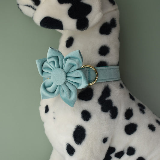 Collar de Perro Franela Verde Lago con Herraje Dorado