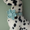 Collar de Perro Franela Verde Lago con Herraje Dorado