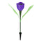Roxo