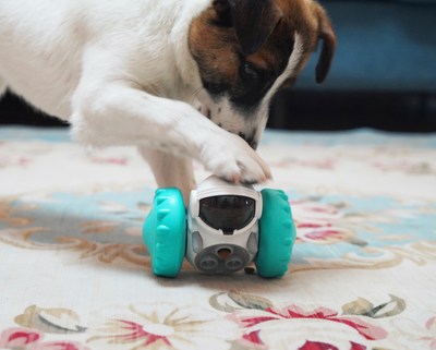 Juguete Interactivo para Perros y Gatos - Auto Dispensador de Alimento Lento - Image 40