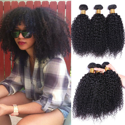 Pelucas de Cabello Humano Rizado Afro - Cabello Virgen Brasileño a Granel