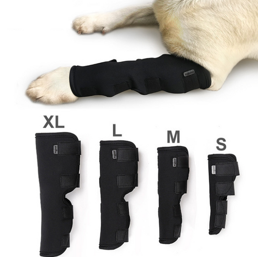 Mallas Protectoras para Perros - Prevención de Lesiones y Lamidos - Image 5