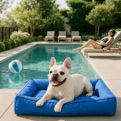 Cama Ortopédica para Mascotas con Soporte Envolvente - Image 31