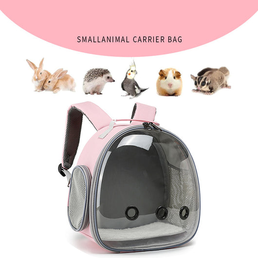 Mochila Transportadora Transparente para Mascotas Pequeñas - Hámster, Conejillo de Indias, Conejo - Image 5