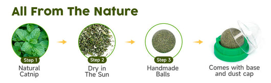 Juguetes de Catnip para Gatos - Set 4 Bolas Energéticas con Silvervine y Limpieza Dental - Image 13