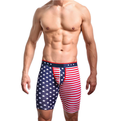 Panties con Estampado de Bandera Americana