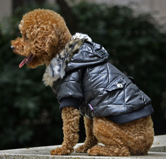 Abrigo para Perros Otoño-Invierno con Cuello de Piel - Ropa Térmica Importada - Image 2