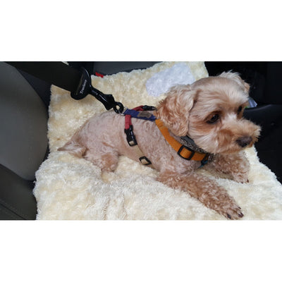 Black metal pet car safety buckle with a top slot for seatbelt and a swivel snap hook, featuring 'Truelove' branding. - Image 5