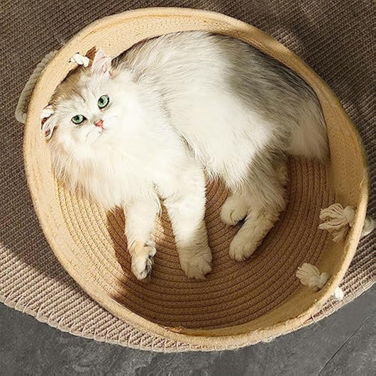 Cama Canasta de Mimbre para Gatos con Rascador Corrugado - Image 5