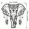 Elefante
