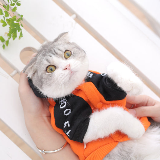 Ropa de Abrigo para Cachorros - Colección Otoño Invierno - Image 4