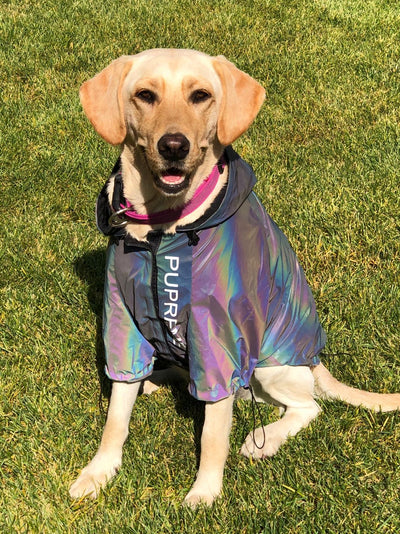 Ropa Reflectante Microcristalina para Perros - Image 3