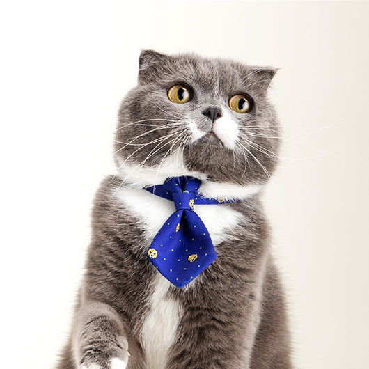 Corbata Ajustable para Perros - Accesorios de Moda Gentleman para Mascotas - Image 14