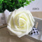 Blanco Lechoso 25 Piezas