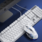 Teclado blanco mate + mouse