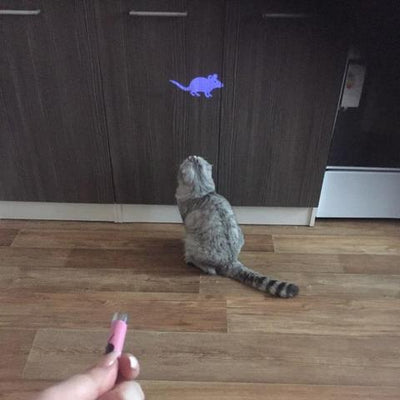 Yellow LED projection cat toy flashlight with a silver keychain, projecting a purple fish animation. - Image 2