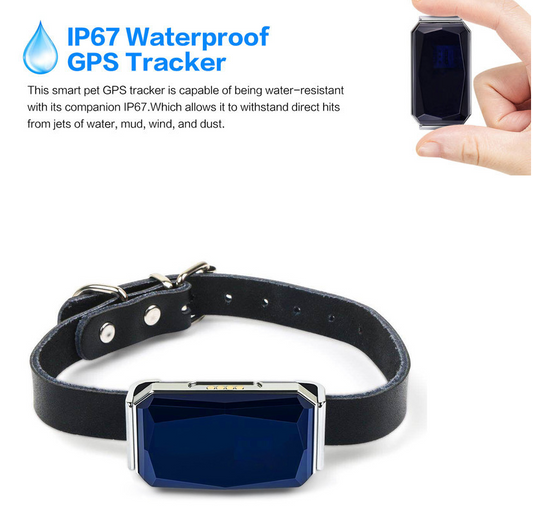 Localizador GPS para Mascotas - Image 2