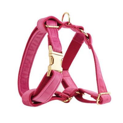 Collar de Perro Terciopelo - Comodidad y Estilo - Image 26