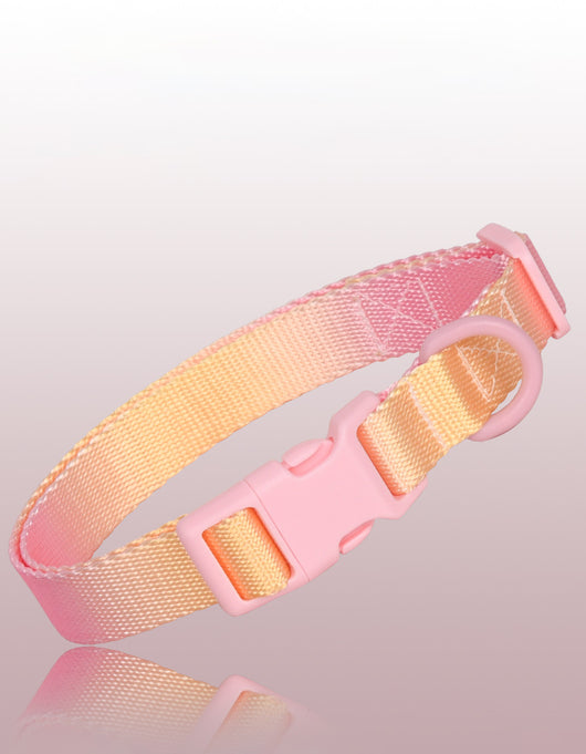 Collar Ajustable para Perros y Gatos - Diseño Degradado Moderno - Image 20