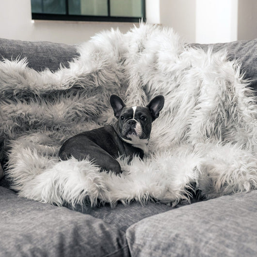 Cama Térmica Premium para Perros - Almohadilla Gruesa de Invierno - Image 3