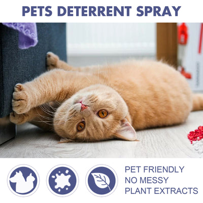 Spray Repelente Anti-arañazos para Perros y Gatos - Protege Puertas y Muebles - Image 14