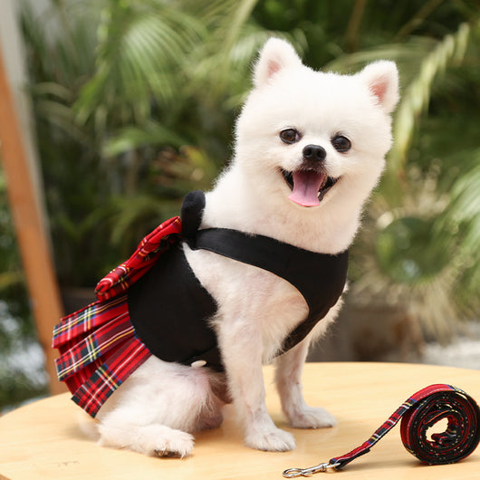 Arnés de Paseo JK para Perros y Gatos con Correa de Mano - Image 13