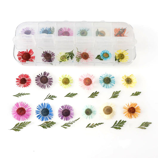 Set de 12 Cajas de Joyas con Flores Secas Naturales - Image 17
