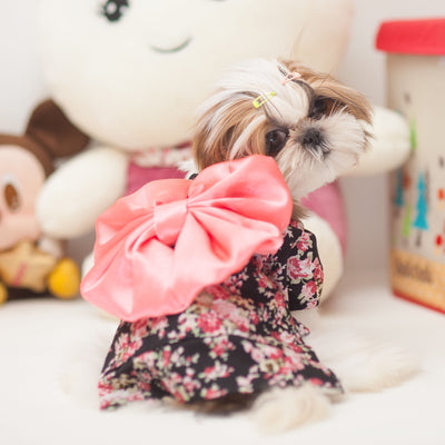 Kimono Tradicional para Perros - Ropa Fresca para Primavera y Verano - Image 7