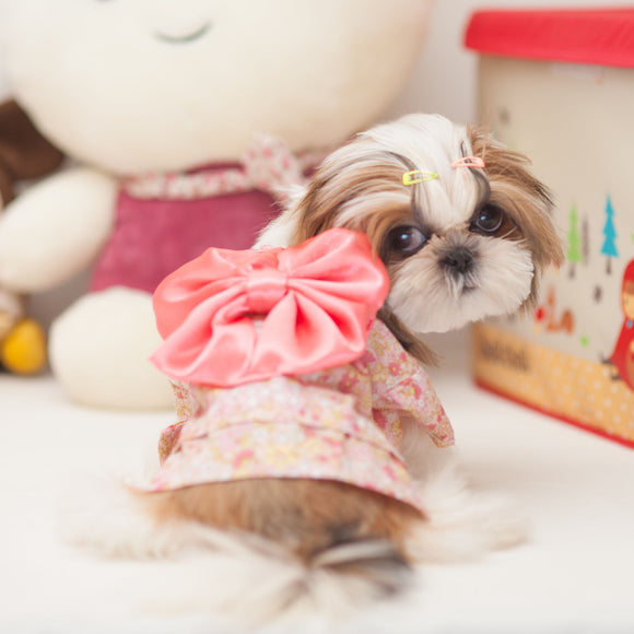 Kimono Tradicional para Perros - Ropa Fresca para Primavera y Verano