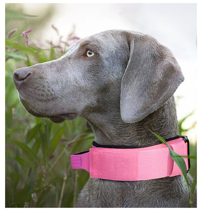 Collar Táctico Antiexplosión para Perros - Image 19