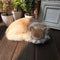 Juguete para Gatos de Cuero Sintético - Gato Durmiente Adorable