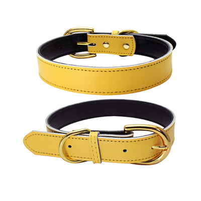 Collar para Mascotas de Cuero Genuino - Image 9