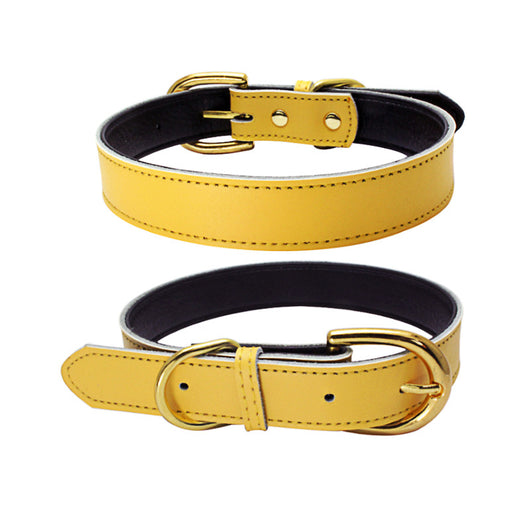 Collar para Mascotas de Cuero Genuino - Image 9