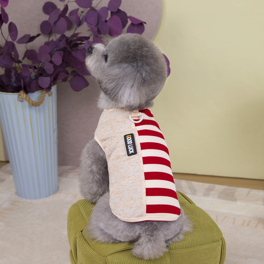 Chaleco de Moda para Mascotas - Ropa Personalizada - Image 8