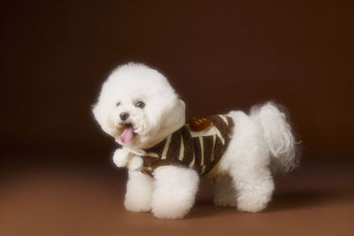 Suéter Acogedor de Galleta Felt para Mascotas - Otoño e Invierno - Image 14