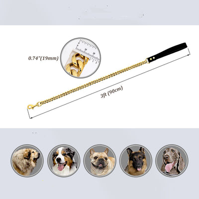 Correa para Perro de Acero Inoxidable Dorado 19mm - Resistente y Elegante - Image 8