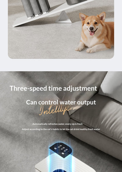 Fuente de Agua para Mascotas con Control Termostático y Flujo Automático Inclinado - Image 31