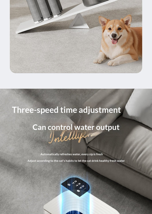 Fuente de Agua para Mascotas con Control Termostático y Flujo Automático Inclinado - Image 31